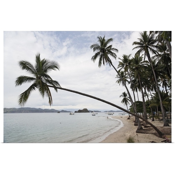 "Palm trees on the beach, Puntarenas, Puntarenas Province, Costa Rica" Poster Print