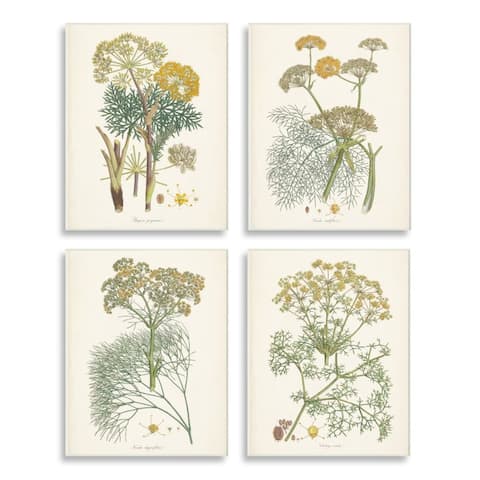 Stupell Industries Vintage Saffron Study with Floral Herbs 4pc Multi Piece Wood Wall Art Set
