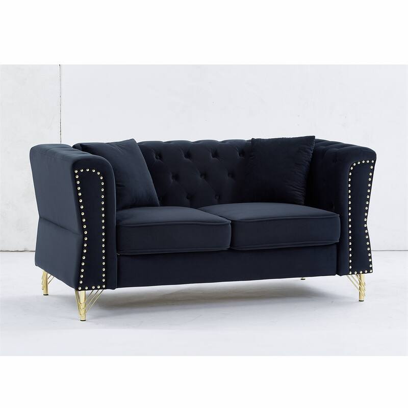 2 Seater Sofa Tufted Couch with Metal Foot and Nailhead