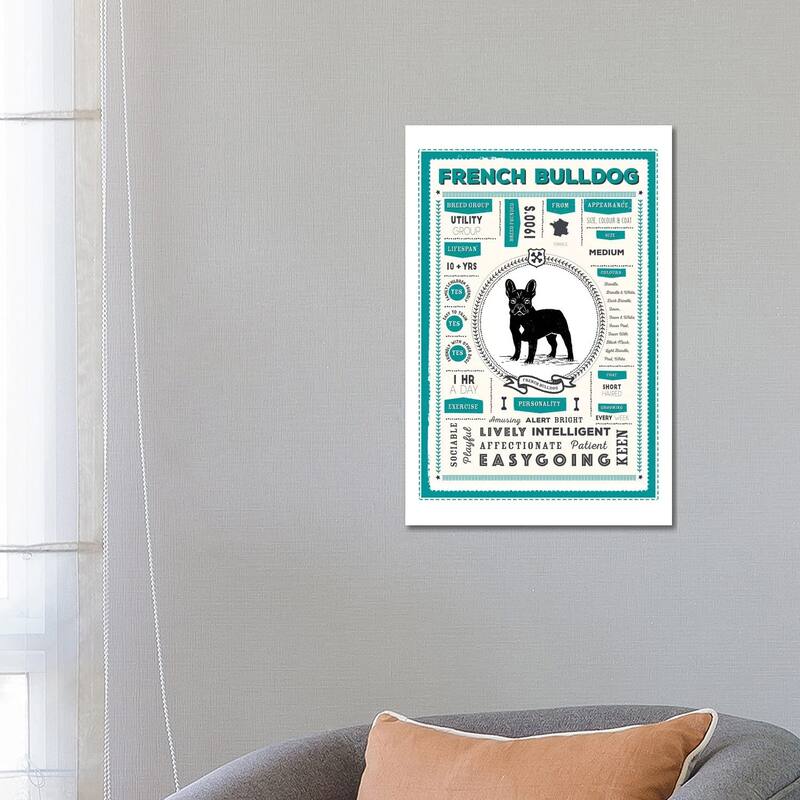 iCanvas "French Bulldog Infographic Blue" by PaperPaintPixels Canvas Print - 26x18x1.5
