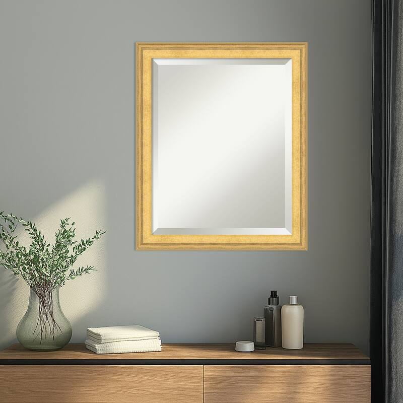 Owen Gold Beveled Wood Framed Wall Mirror - Owen Gold
