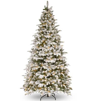 National Tree Company 9 ft. Snowy Everest Fir Medium Tree with Clear Lights - 9 Foot