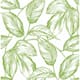 Option Greenery