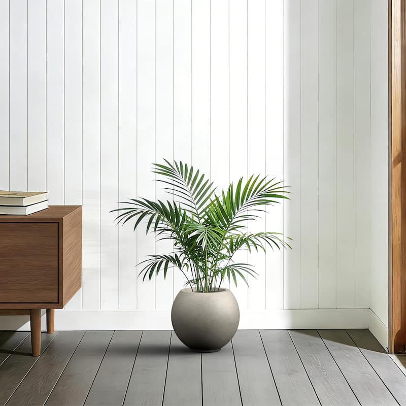 Concrete Round Planter / Pot Indoor & Outdoor