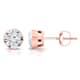 Option Rose