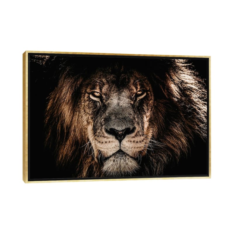 iCanvas "Lion Straight Stare" by Adrian Vieriu Framed - Gold - 26x40