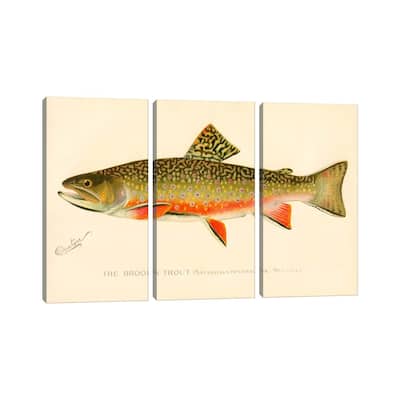 iCanvas "The Brook Trout" by Print Collection 3-Piece Canvas Wall Art Set