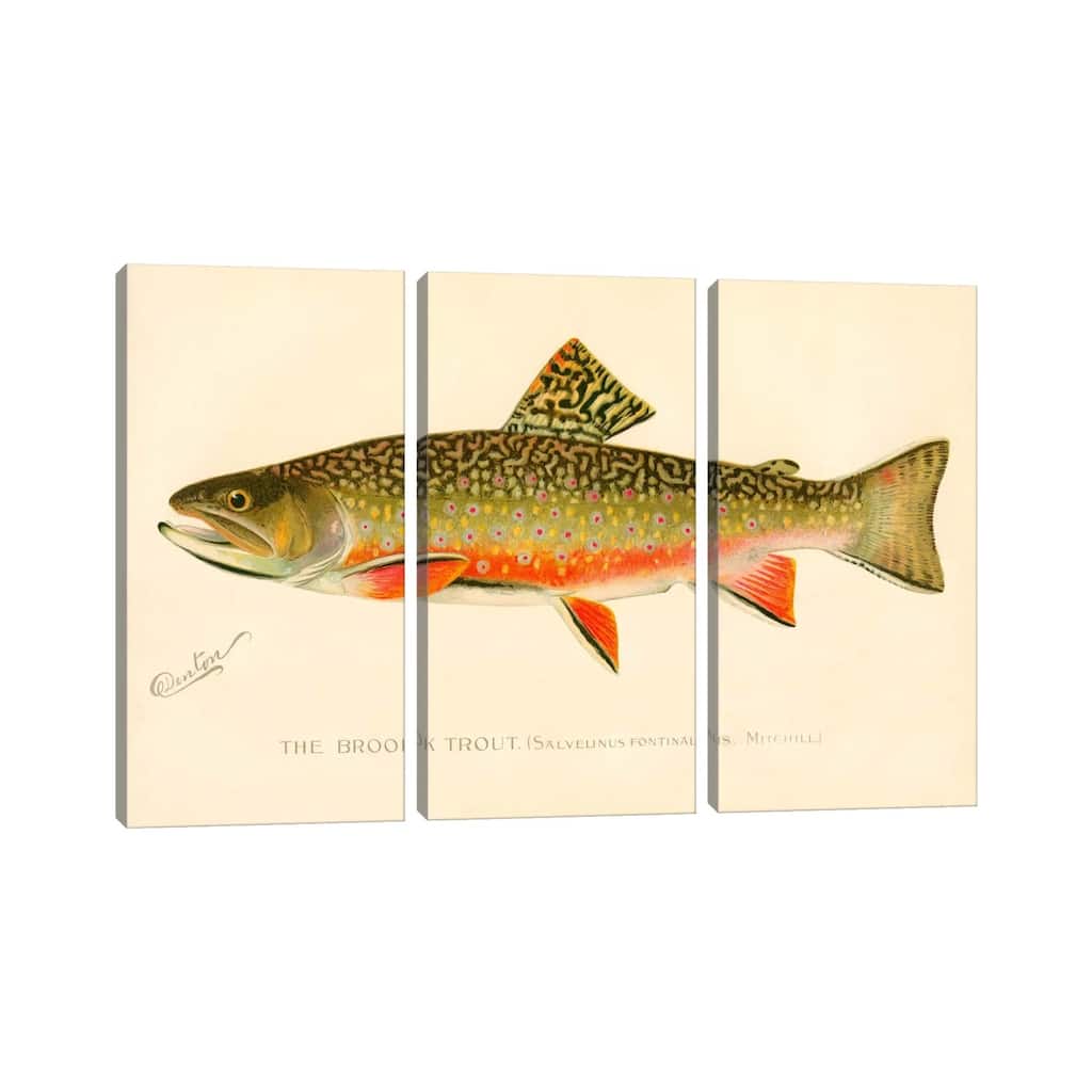 iCanvas "The Brook Trout" by Print Collection 3-Piece Canvas Wall Art Set