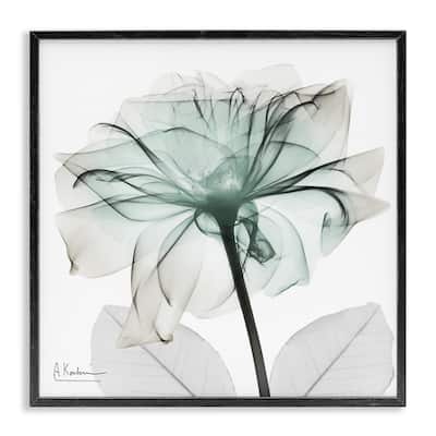 Stupell Unique Chic Flower Petal Framed Giclee Art Design By Albert Koetsier