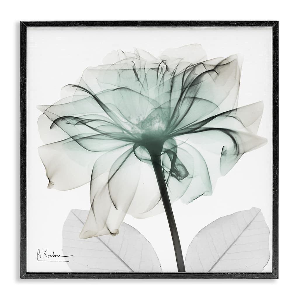 Stupell Unique Chic Flower Petal Framed Giclee Art Design By Albert Koetsier