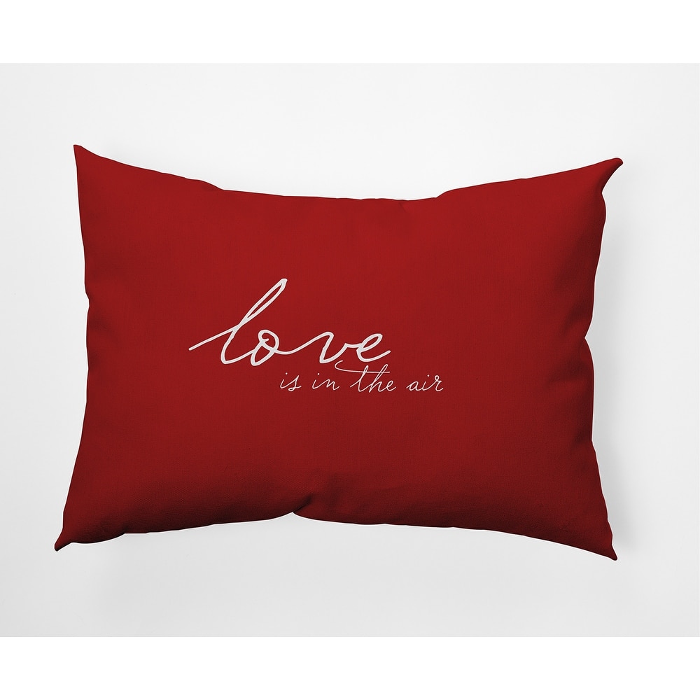 Love in the Air Valentine's Day Decorative Indoor/Outdoor Pillow