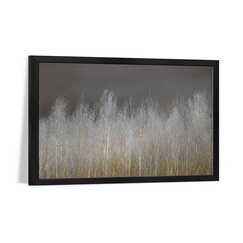 Silver Forest Premium Framed Poster by Assaf Frank