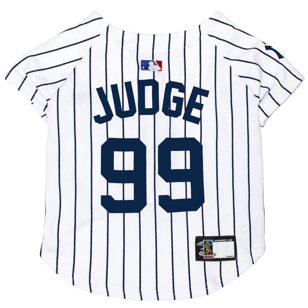 astros pet gear
