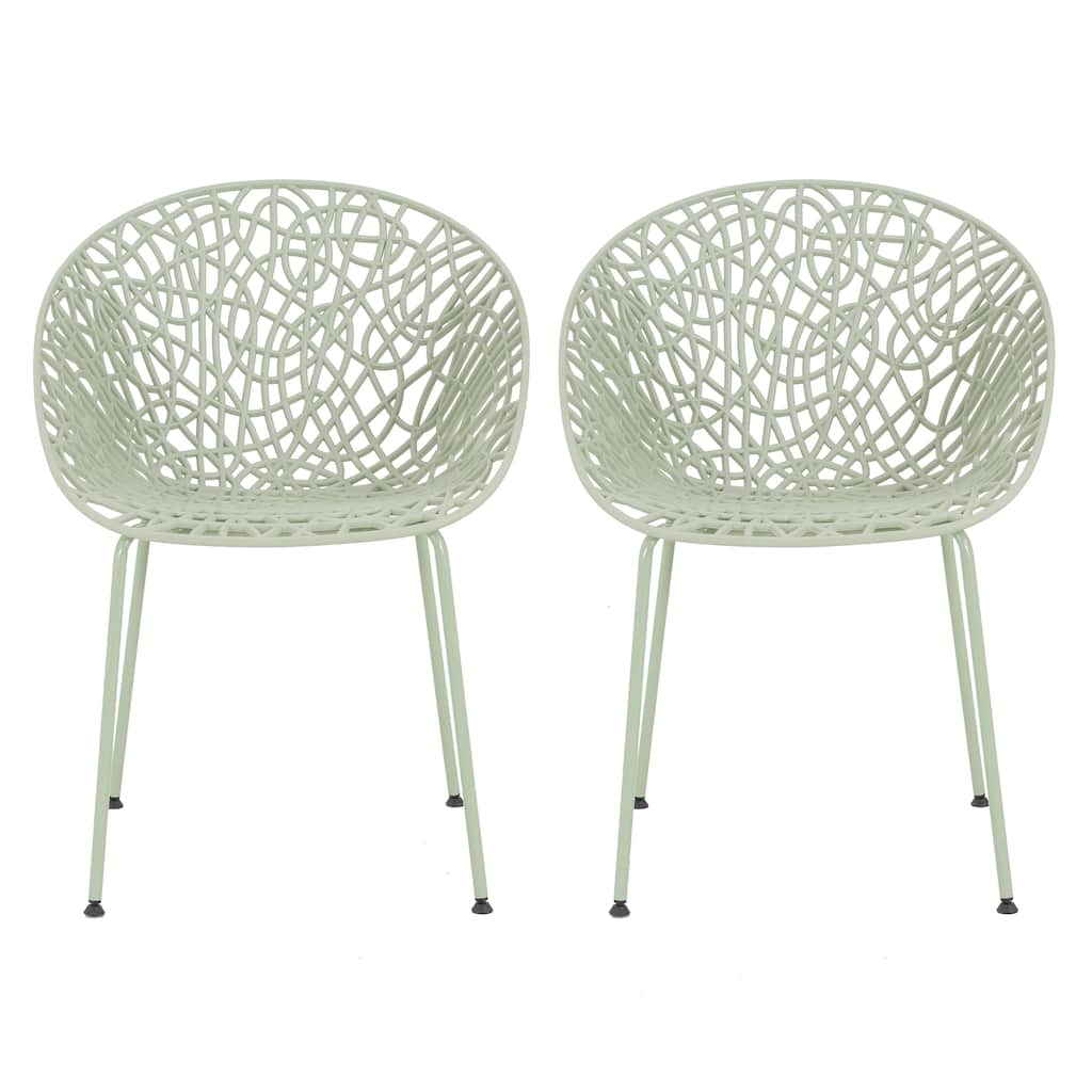 Dining Chairs Leisure Chair Reading Chair Accent Chair Set of 2, Reception Chair Side Chair with Iron Frame