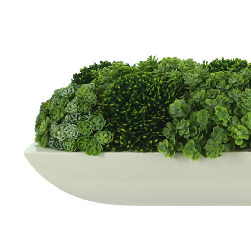 Chick Succulent and Sedum Arrangement in Pot - Green