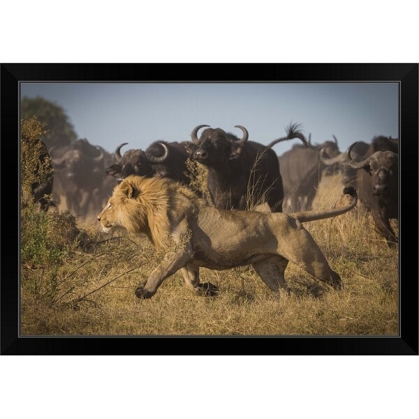 "Running For His Life" Black Framed Print