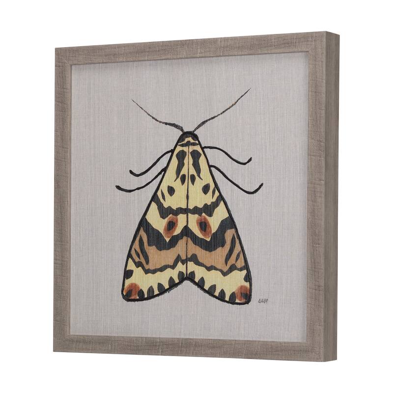 Moth III Framed Art Print