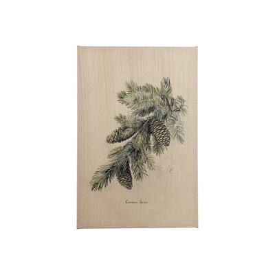 Evergreen collection IV (20 x 30) Canvas Art Print