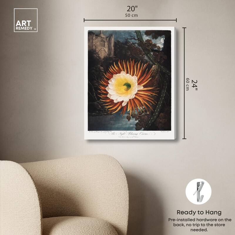 Night-Blowing Cereus 1807 Canvas by Art Remedy, Gallery Wrapped