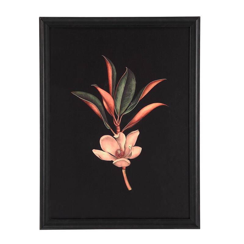 Renwil Wallflower Rag Paper 6-Piece Wall Art with Black Frame