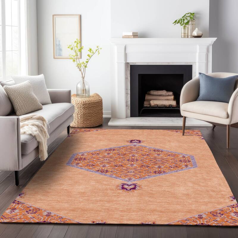 Machine Washable Indoor/ Outdoor Traditional Chantille Rug
