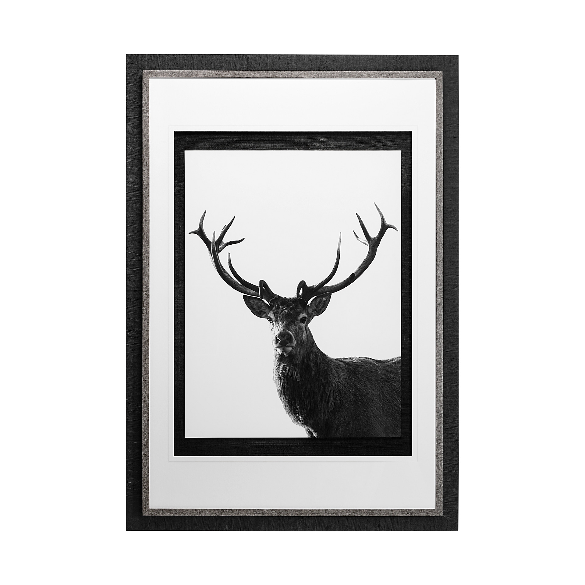 Forest Royal Grand by Matthew Roseveare Hand Embelished Textured Framed Art Photo Matted under Glass