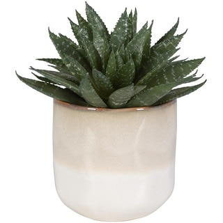 Uttermost 60213 Doha 10-1/2" Tall Ceramic Faux Flora Planter - Beige