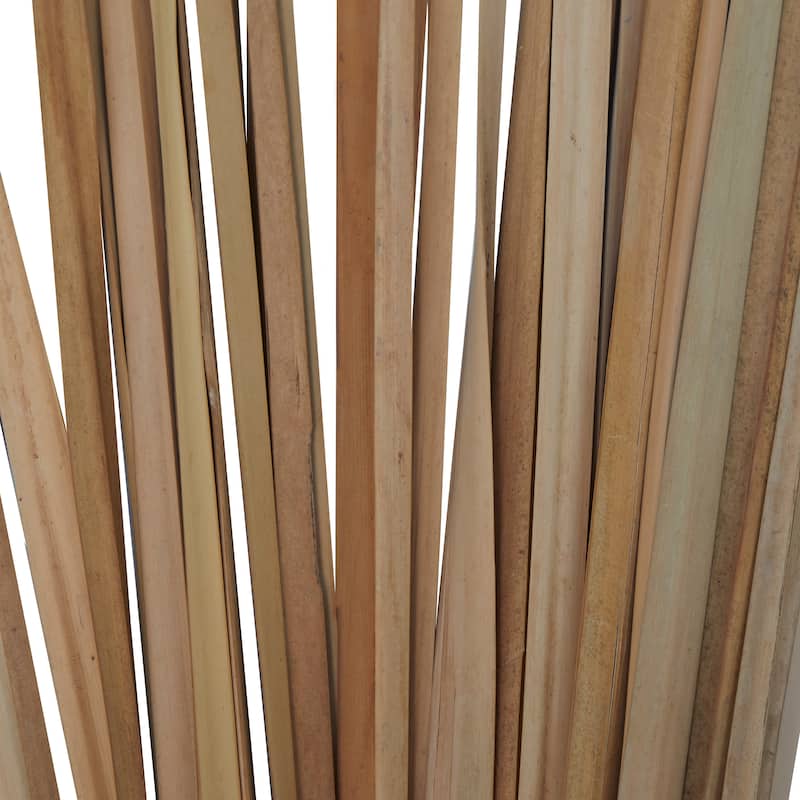 Dried Hogla Babala Bamboo Natural Foliage Collection - Multiple Colors