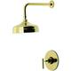 Option Polished Brass