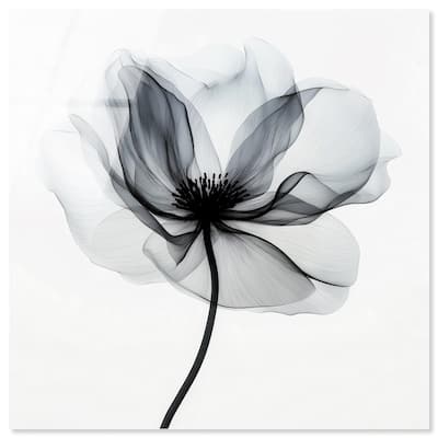 Midania I Acrylic by Art Remedy, Ready to Hang