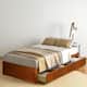 Option Oak