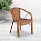Option Burning Brown Rattan/DarkRed Bamboo-Aluminum Frame