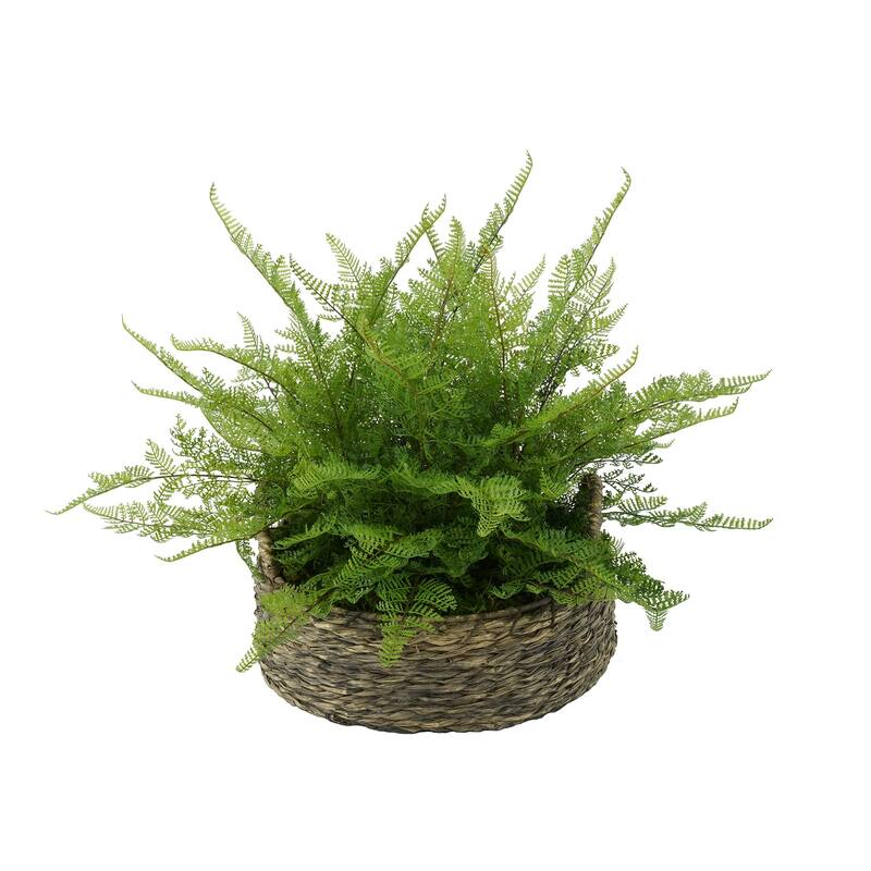 Faux Lace Fern in Seagrass Tray Basket - Grey-Washed