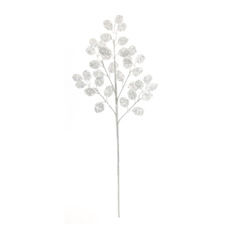 Silver Dollar Spray (Set of 6) - White