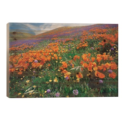 California Poppy And Other Wildflowers Growing On Hillside, Spring, Antelope Valley, California Print On Wood by Tim Fitzharris