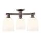Option Oil Rubbed Bronze / White
