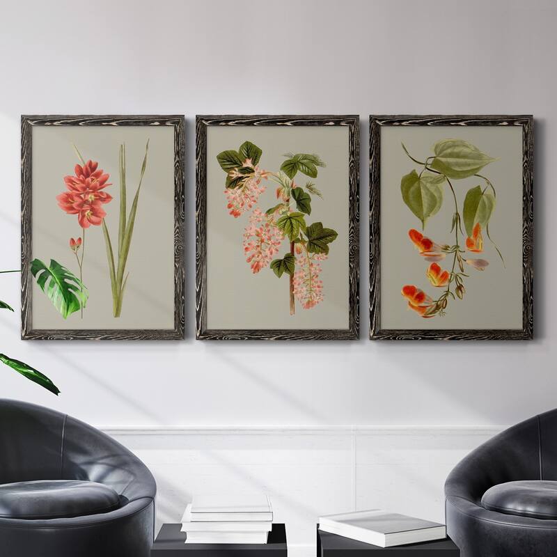 Botanical Array IV-Premium Framed Canvas - Ready to Hang - Multi-Color ...