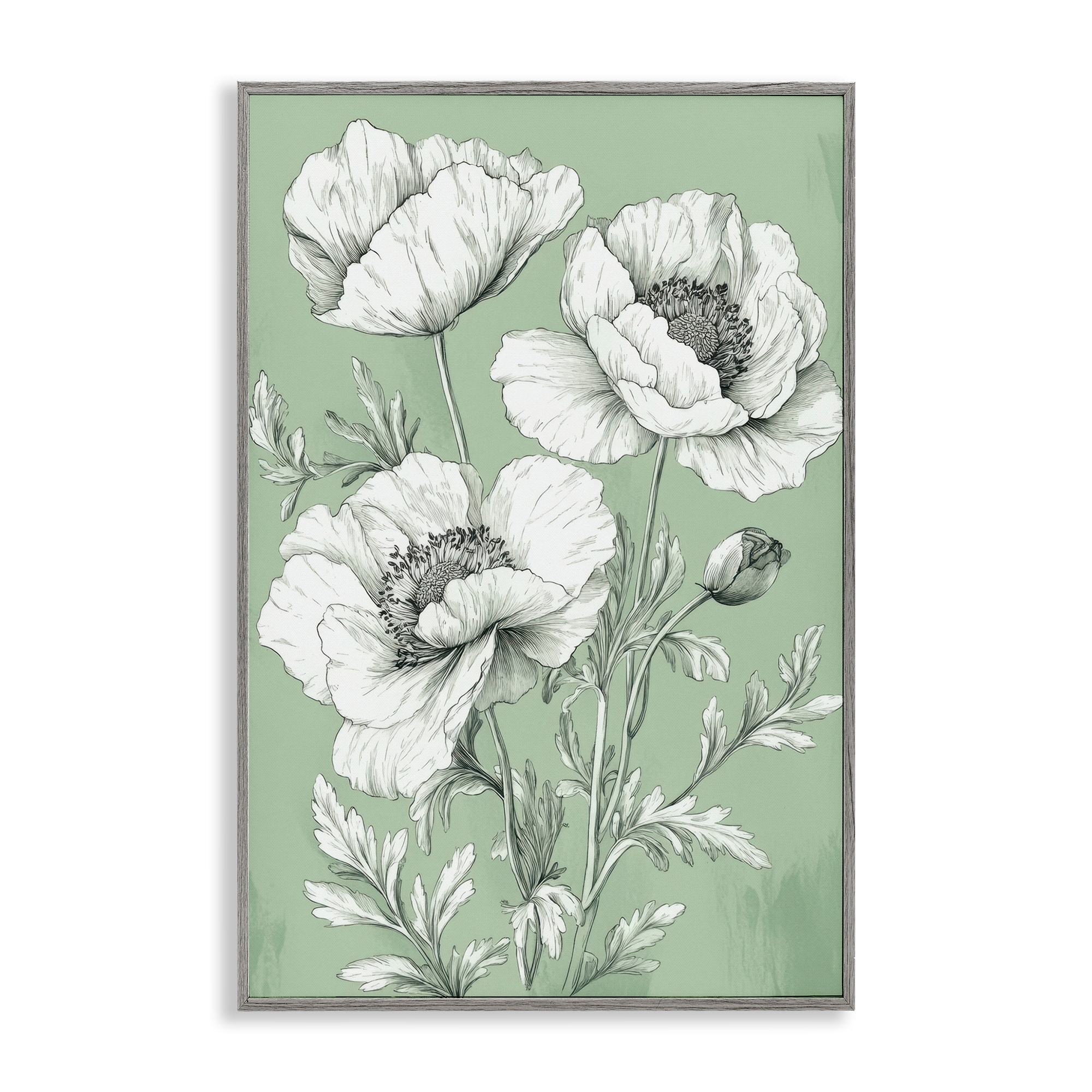 Stupell Classic Green Poppy Floral Framed Giclee Art Design By Petal Prints Design