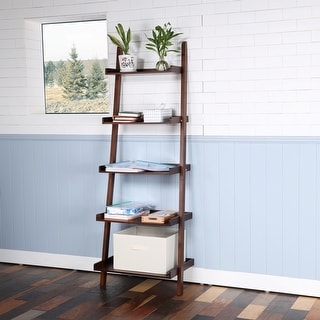 Blue store ladder shelf