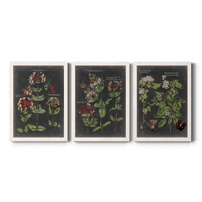 Vintage Botanical Chart I-Premium Framed Canvas - Ready to Hang - Multi-Color