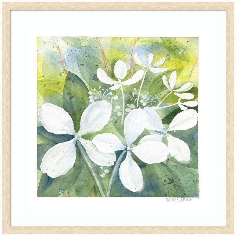 Kate and Laurel Framed Art White Phantom Hydrangea in Greens by Patricia Shaw - 34x34 - Natural