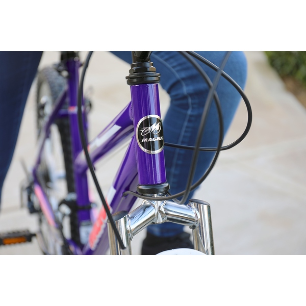 Magna echo ridge hotsell bike