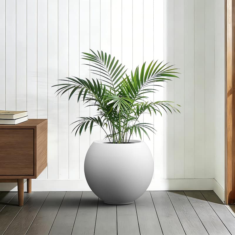 Concrete Round Planter / Pot Indoor & Outdoor