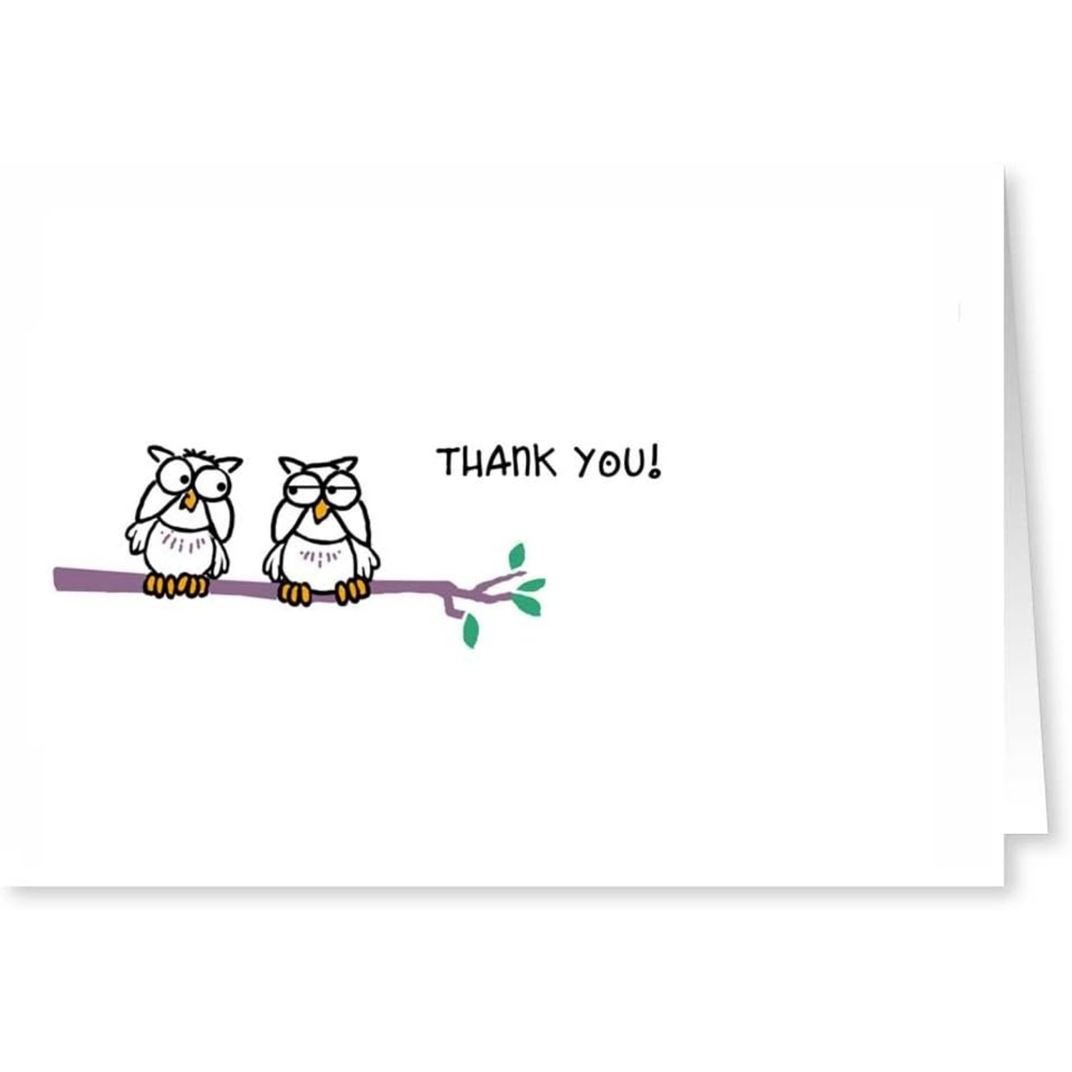 Stonehouse Collection Owls Thank You Note Cards Blank Assorted Thank stonehouse-collection-owls-thank-you-note-cards-blank-assorted-thank