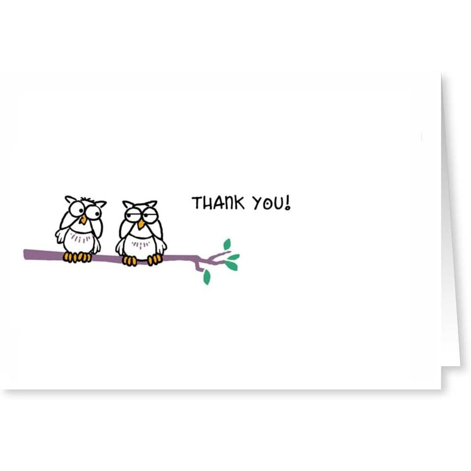 stonehouse-collection-owls-thank-you-note-cards-blank-assorted-thank