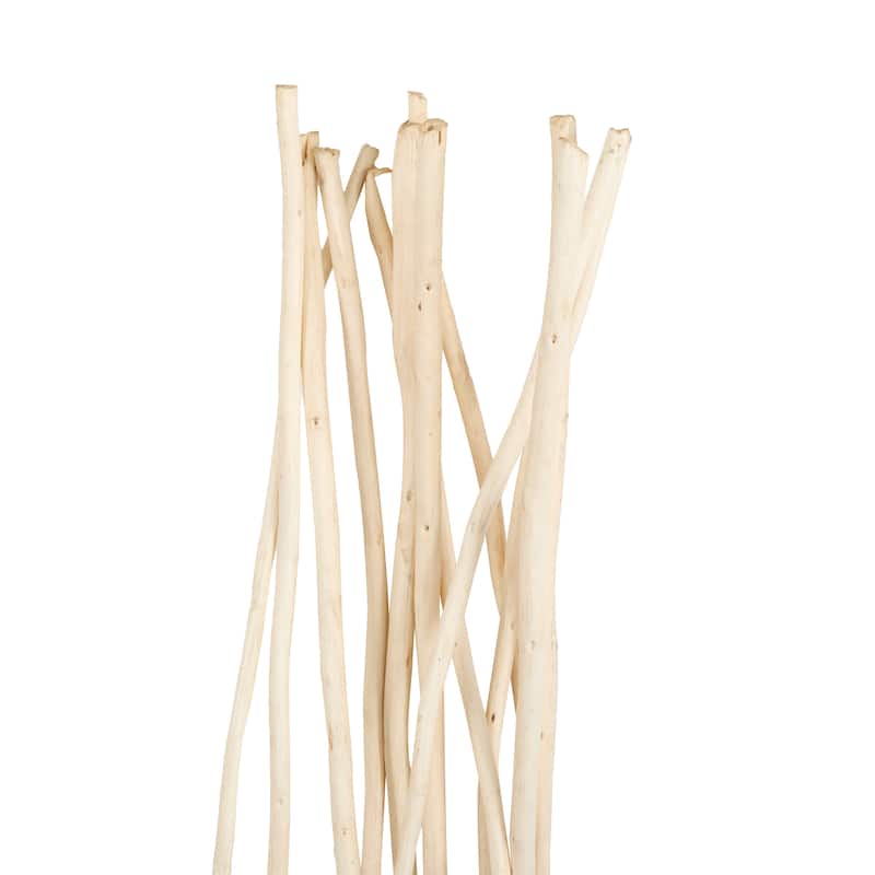 Dried Plant Tall Wavy Stick Home Decor Natural Foliage - Beige - Roche River Decor