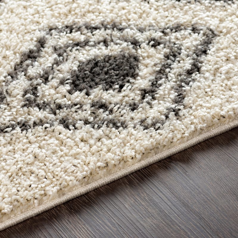 Artistic Weavers Oyin Boho Diamond Plush Area Rug