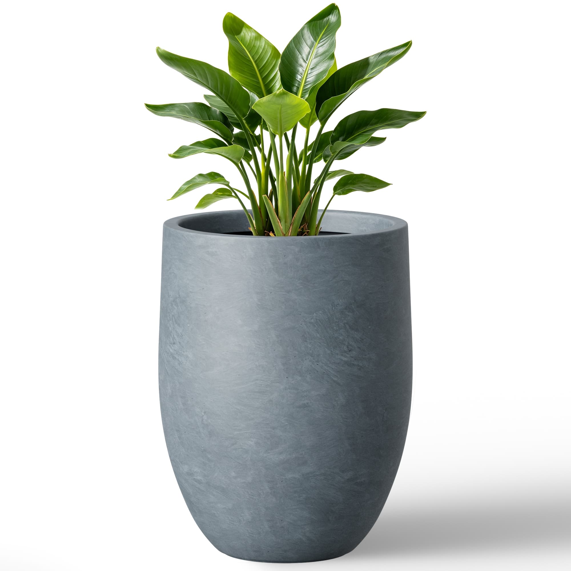 Option Blue Gray