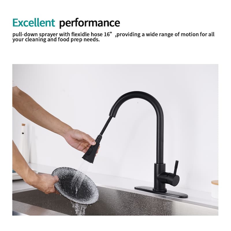 DORNBERG SUS 304 Stainless Steel Kitchen Faucet with Pull Down Sprayer