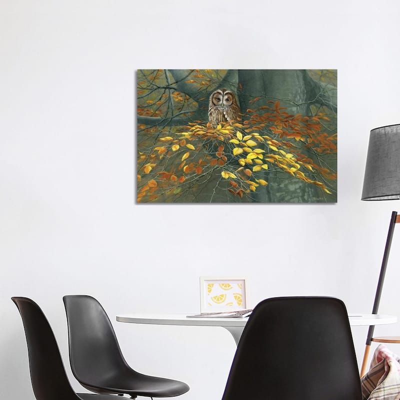 iCanvas "Tawny Owl Autumn" by Jeremy Paul Canvas Print - 26x40x1.5